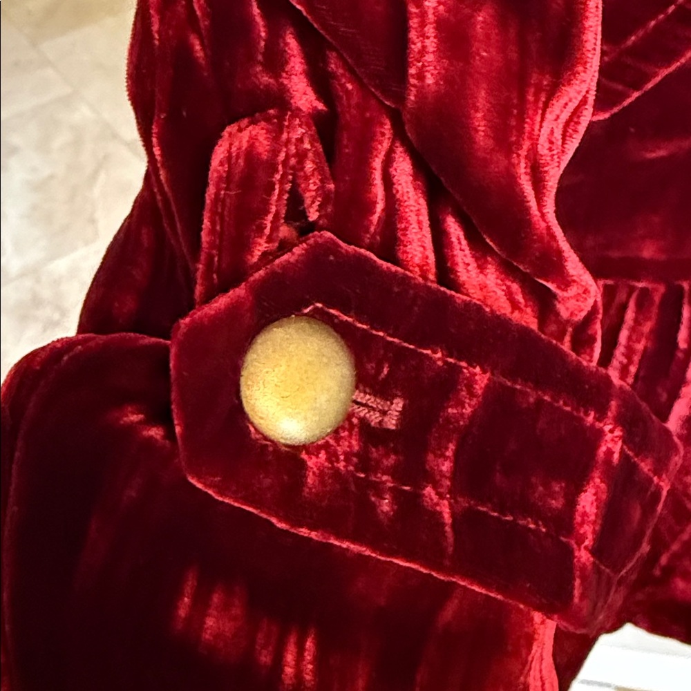 Cynthia Steffe Velvet Long Sleeve Dress in Rich Burgundy - Picture 6 of 10